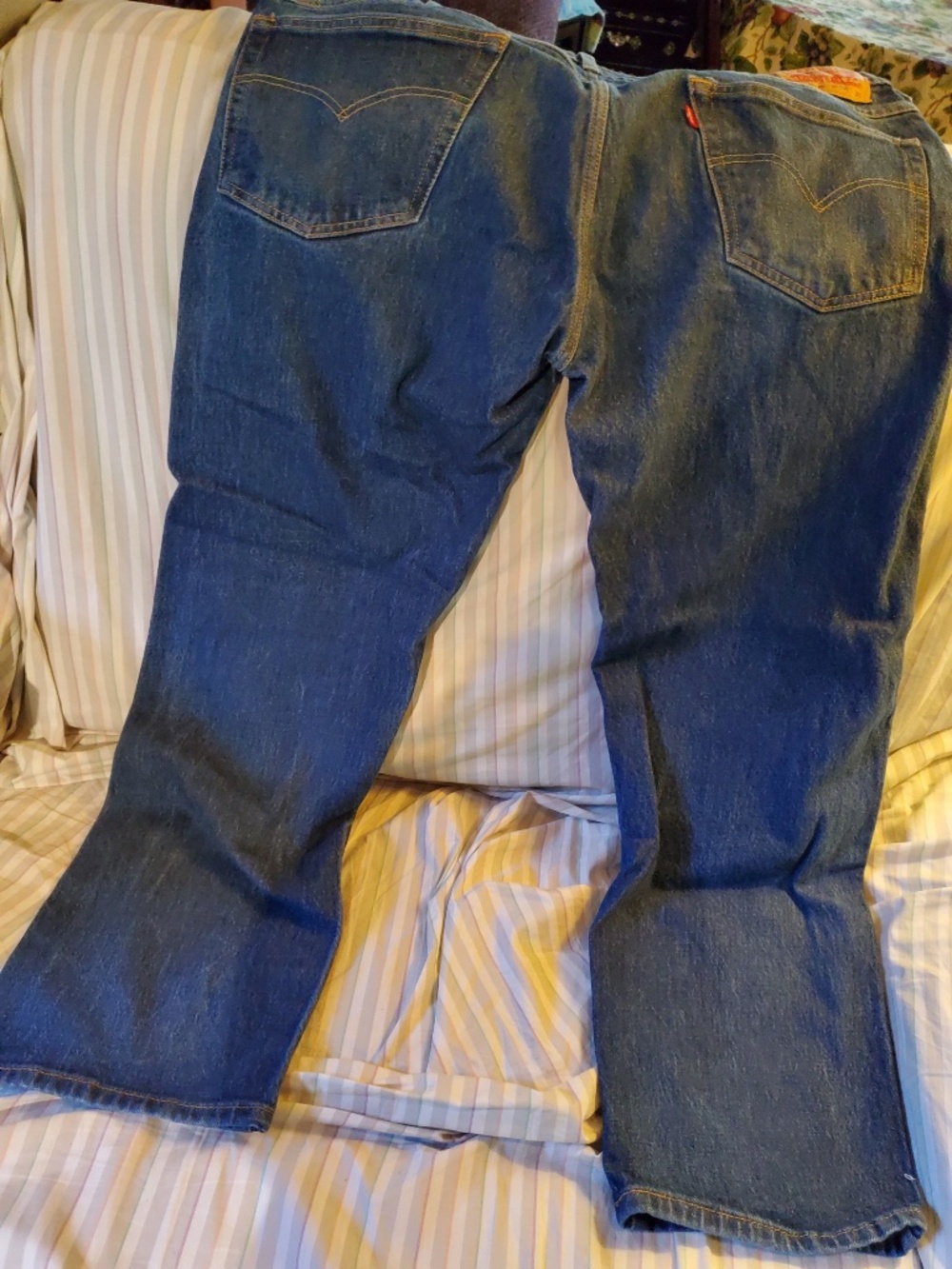 Levi - Picture 2 of 5